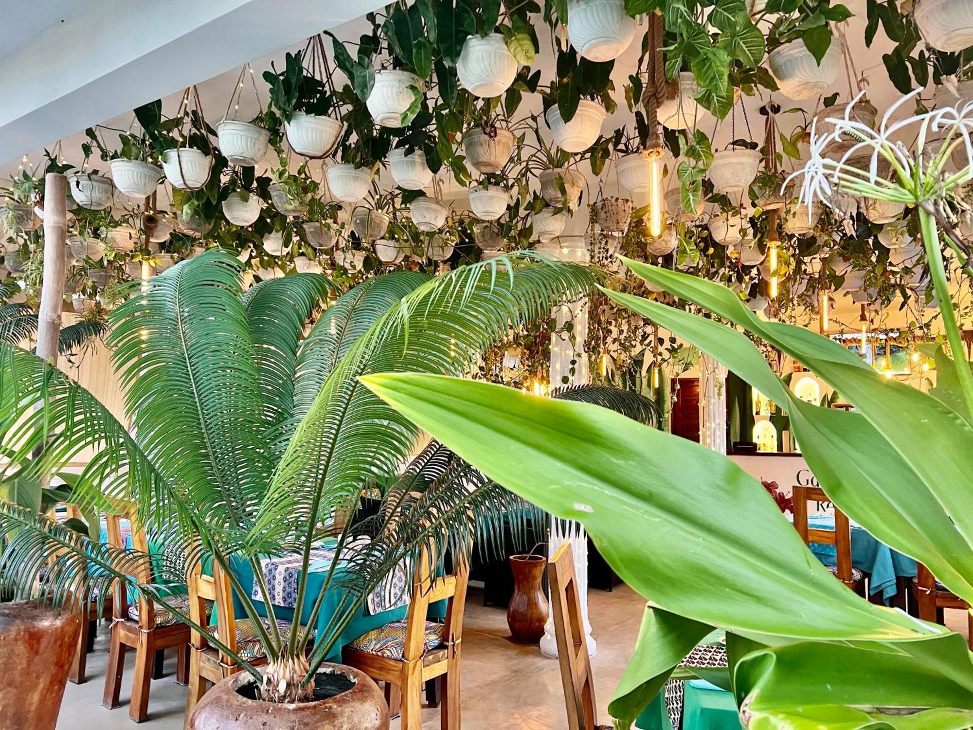 Gadea Boutique Hotel& Gadea Garden Italian Restaurant (Adults Only) Jambiani  Dış mekan fotoğraf
