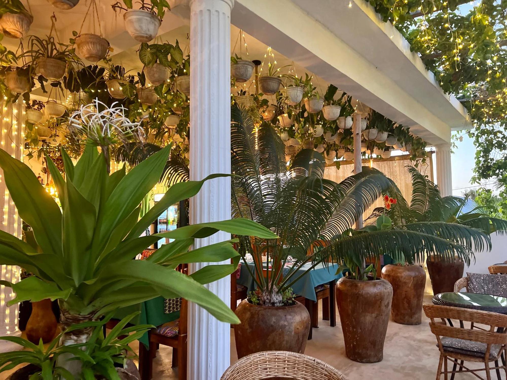 Gadea Boutique Hotel& Gadea Garden Italian Restaurant (Adults Only) Jambiani  Dış mekan fotoğraf