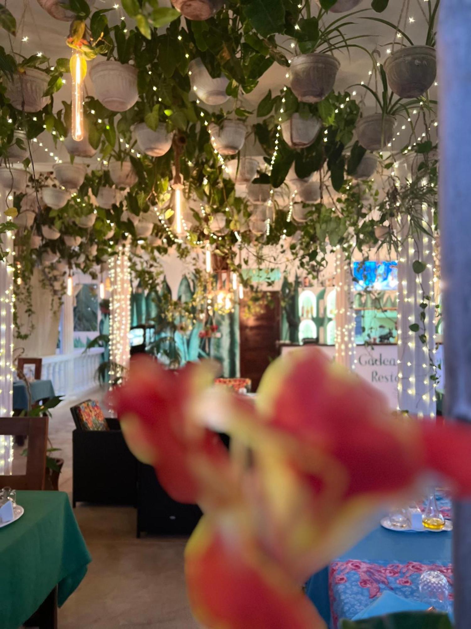 Gadea Boutique Hotel& Gadea Garden Italian Restaurant (Adults Only) Jambiani  Dış mekan fotoğraf